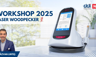 Workshop LASER Woodpecker 2025 – dr. Răzvan Linteș