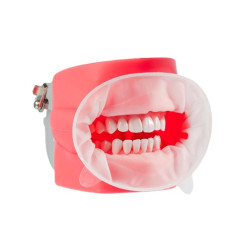 EasyGate retractor bucal Schulzer EasyGate retractor bucal Schulzer