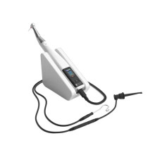 Endodontie