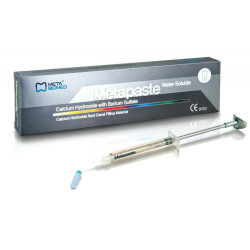 METAPASTE 2g METAPASTE 2g