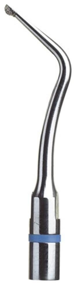 Ansa Excavus EX3 Acteon