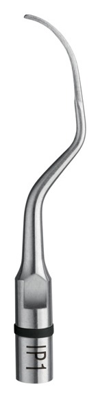 Ansa implant IP1 Acteon