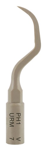 Ansa implant PH1 Acteon